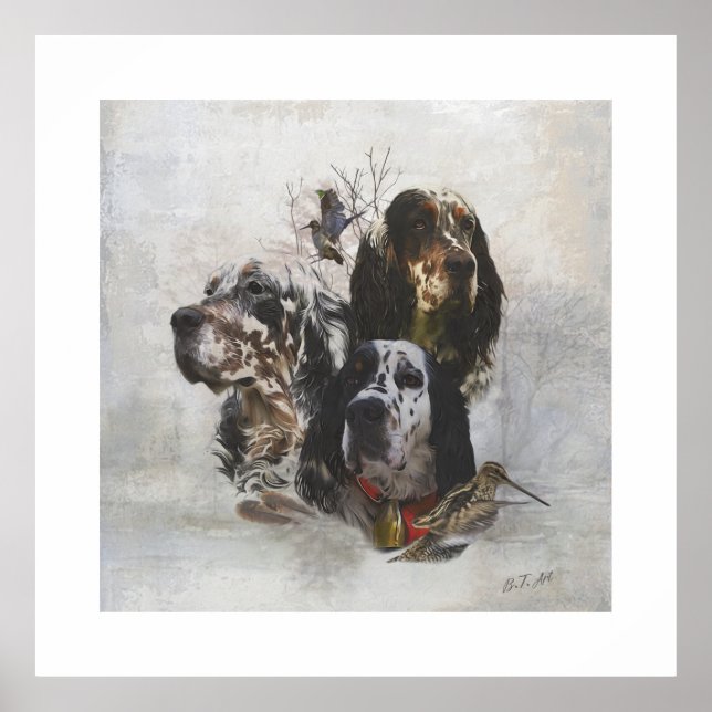 Poster Anglais Setter, chasse à la bécasse (Devant)