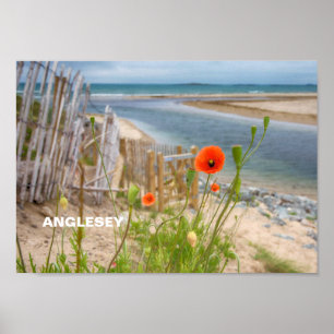 Poster Anglesey Wales Vue Pittoresque Plage Et Poppies Sa