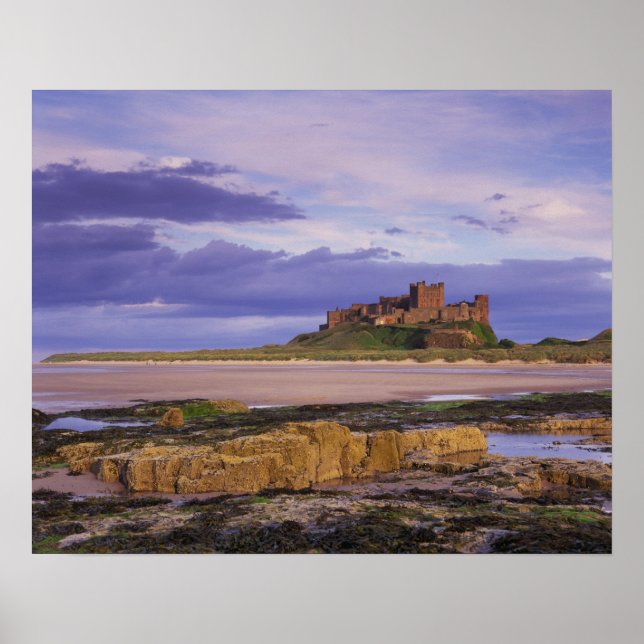 Poster Angleterre, Northumberland, Château de Bamburgh (Devant)