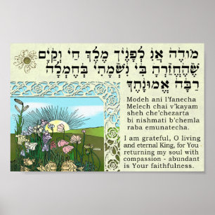 Poster Ani de Modeh - réveil de la méditation