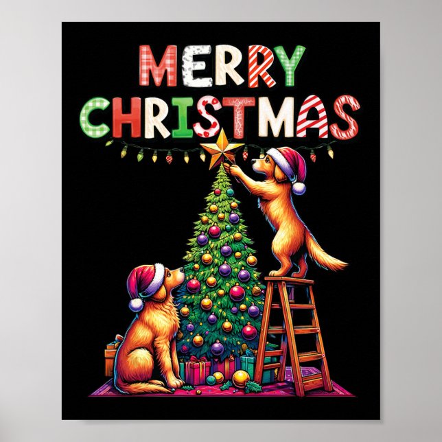 Poster Animal animal de compagnie Golden Retriever Chiens (Devant)