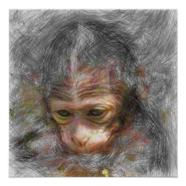 Poster animal artistique bébé singe (Devant)