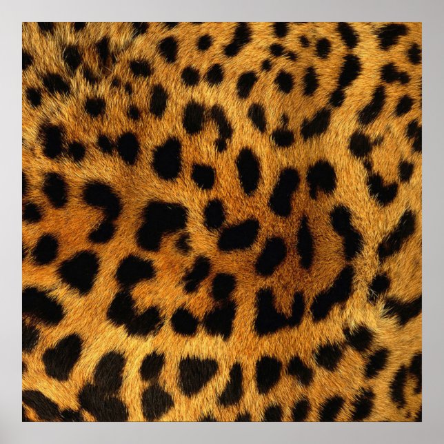 Poster animal chic tendance motif brun empreinte de léopa (Devant)