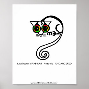 Poster Animal en voie de disparition - POSSUM de Leadbeat