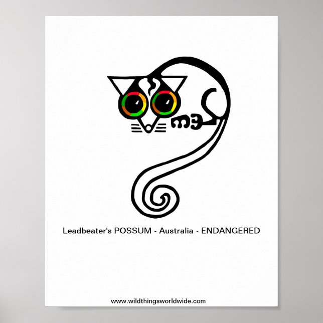 Poster Animal en voie de disparition - POSSUM de Leadbeat (Devant)