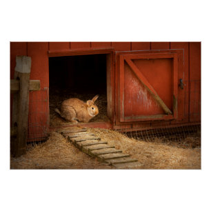 Poster Animal - Lapin - Faire des œufs pour Pâques