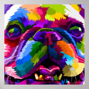 Poster Animal pop-art