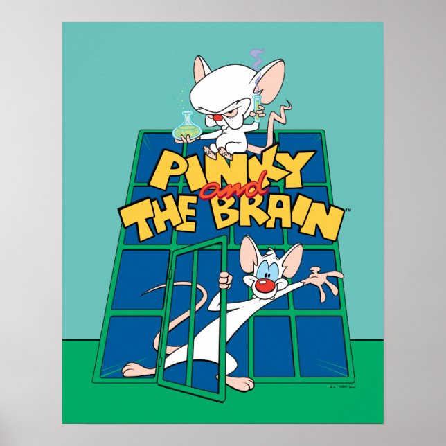 Poster Animaniacs | Pinky et le graphique de la cage céré (Devant)