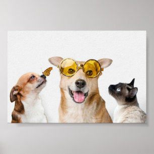Poster Animaux