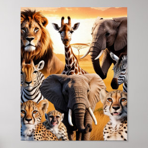 Poster Animaux africains