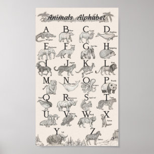Poster Animaux alphabet éducatif