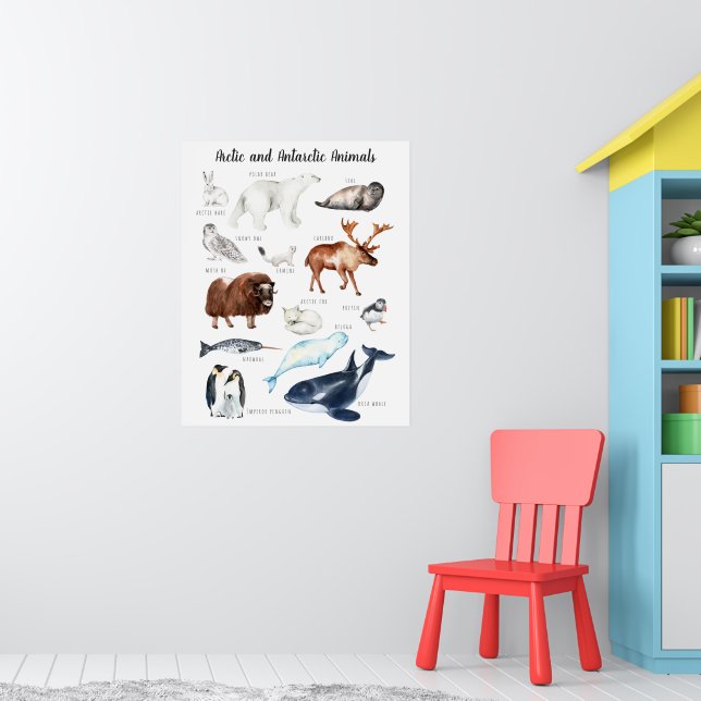 Poster Animaux arctiques | Formation en classe (Pépinière 1)