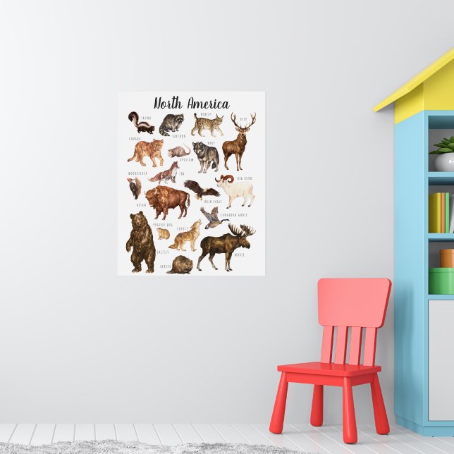 Poster Animaux d'Amérique du Nord | Classe éducative (Pépinière 1)