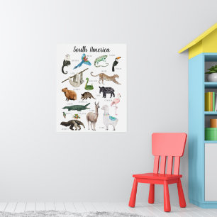 Poster Animaux d'Amérique du Sud   Éducation Salle de cla