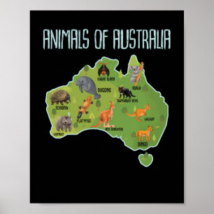 Poster Animaux D'Australie Animaux D'Australie