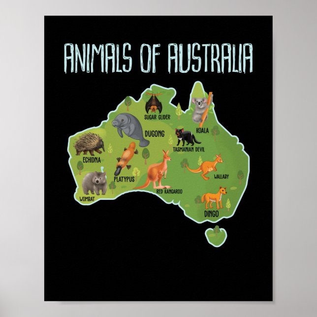 Poster Animaux D'Australie Animaux D'Australie (Devant)