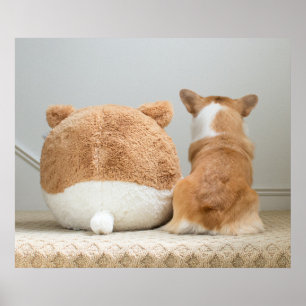 Poster Animaux de bébés cutest Corgi & Plush Puppy