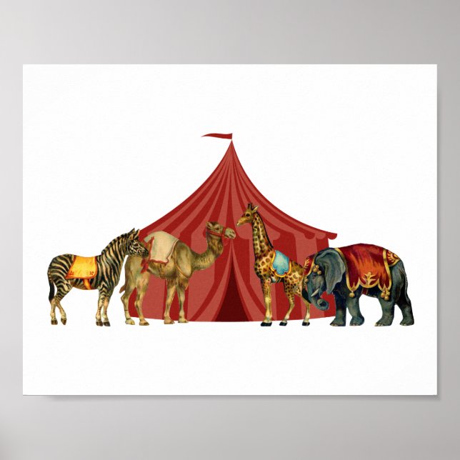 Poster Animaux De Cirque Et Tente (Devant)
