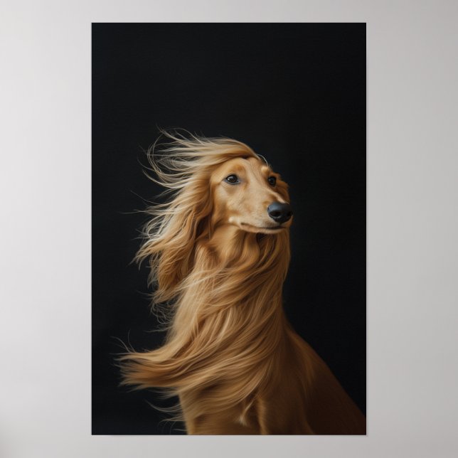 Poster Animaux de compagnie Salon Boutique Afgan Hound Po (Devant)