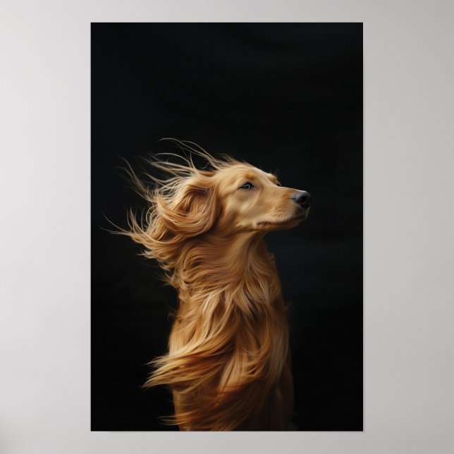 Poster Animaux de compagnie Salon Boutique Afgan Hound Po (Devant)