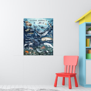 Poster Animaux de l'Océan   Éducation Apprentissage Salle