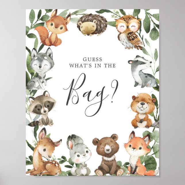 Poster Animaux des bois Guess Baby Guess Qu'y a-t-il dans (Devant)