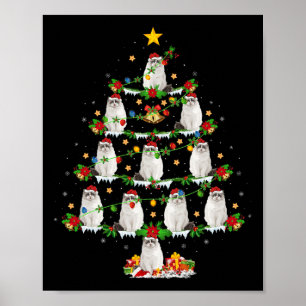 Poster Animaux domestiques Noël éclaire Père Noël Ragdoll