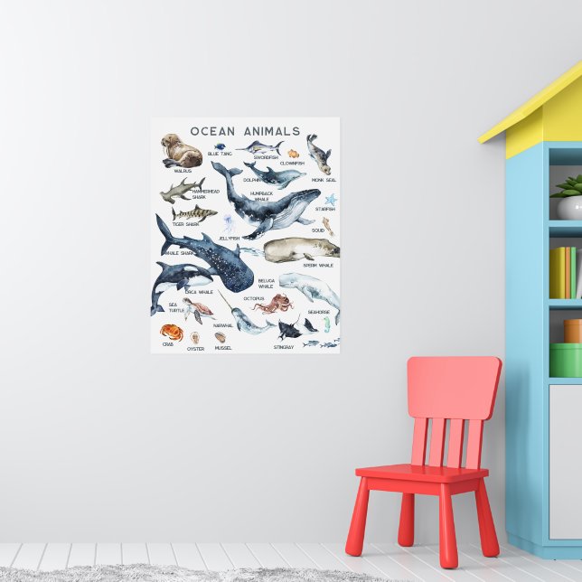 Poster Animaux marins | Formation en classe (Pépinière 1)