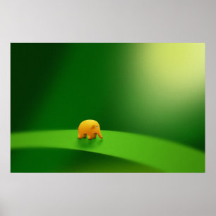 Poster Animaux micro - éléphant