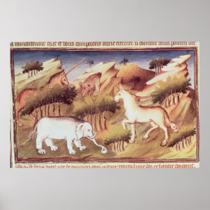 Poster Animaux mythiques dans la région sauvage