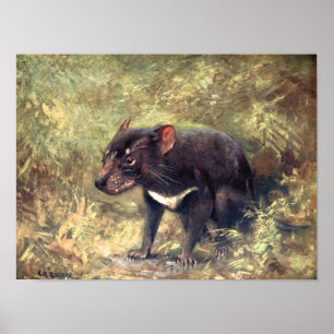 Poster Animaux Sauvages d'Antan, Diable de Tasmanie par C