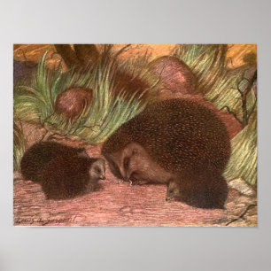 Poster Animaux Sauvages de Collection, Hérissons par Loui