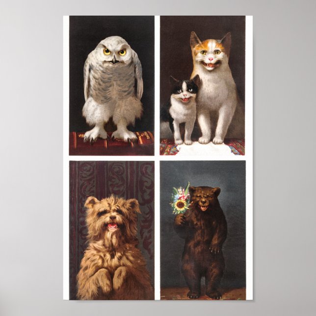 Poster Animaux vintages (Devant)