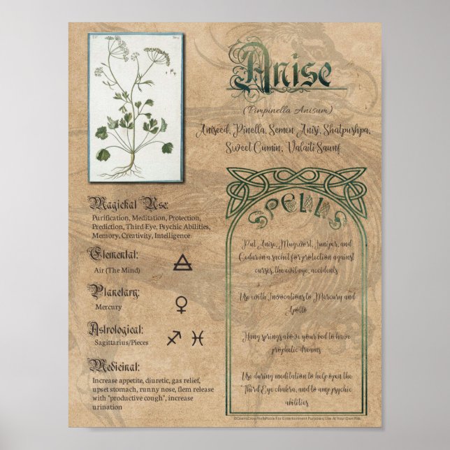 Poster Anise Herbal Livre d'ombres Pagan Wiccan (Devant)