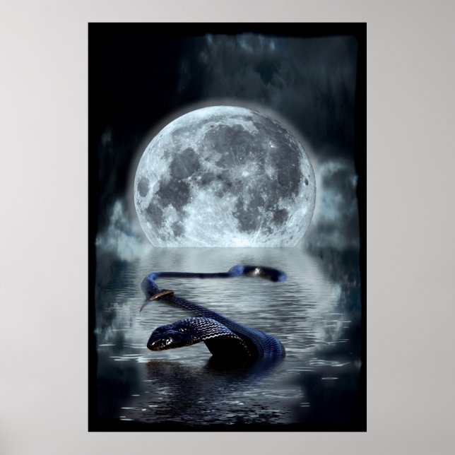 Poster Année chinoise du serpent d'eau Serpent noir (Devant)