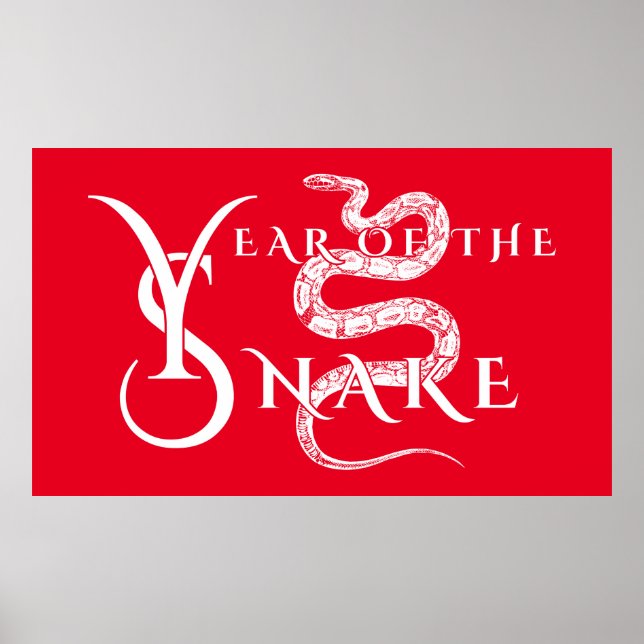 Poster Année du serpent (Devant)