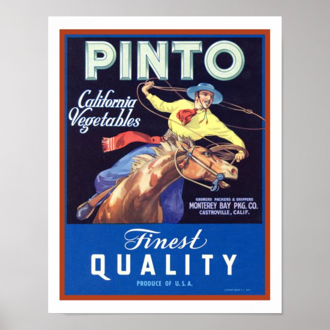 Poster Annonces de légumes "Pinto" de 1930 (Devant)