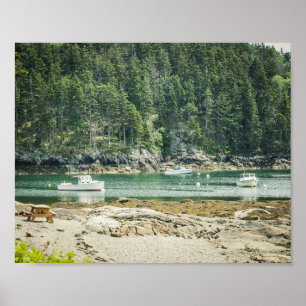 Poster Anse dans la baie côtière du Maine 8x10