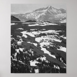 Poster Ansel Adams