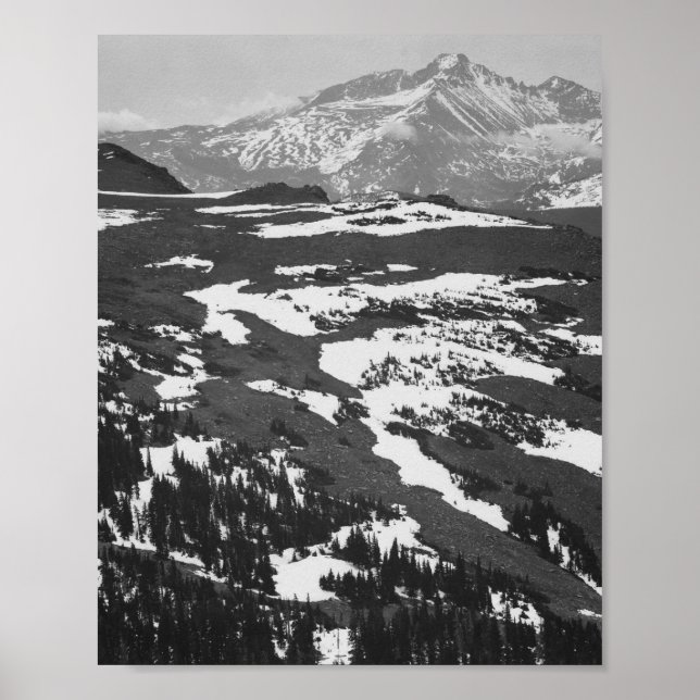 Poster Ansel Adams (Devant)