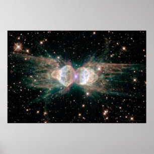 Poster Ant Nebula 30x20 (27x18)