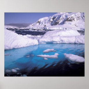 Poster Antarctique. Expédition à travers les paysages de 