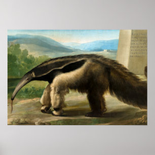 Poster Anteater géant de Sa Majesté par Anton R. Mengs