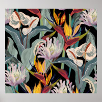 Anthurium Strelitzia : Splendeur Vintage tropicale