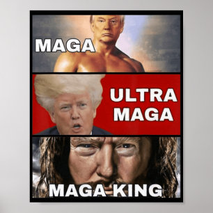 Poster Anti Joe Biden Ultra Maga Le Retour Du Grand