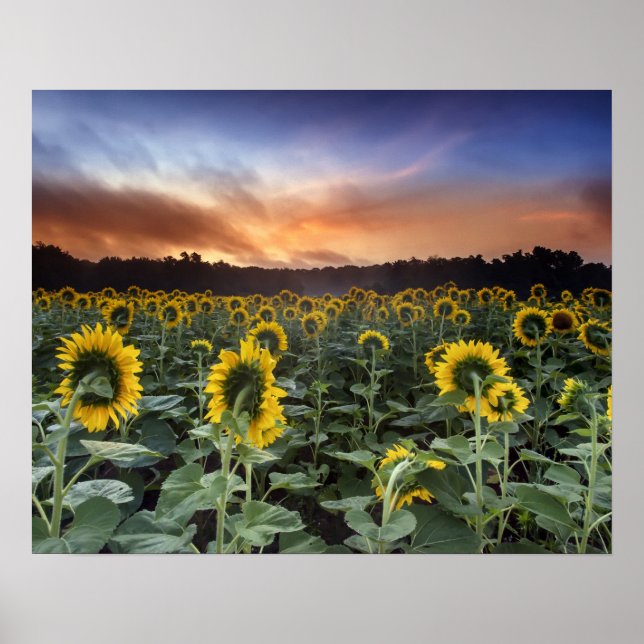 Poster anticipation (Devant)