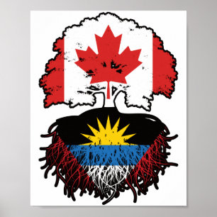 Poster Antigua Antiguan Canadian Canada Arbre Roots Drape
