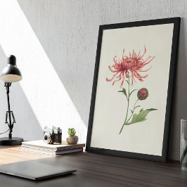 Poster Antique Aquarelle Botanique Imprimer