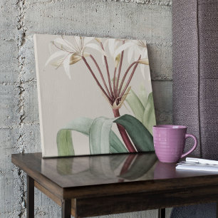 Poster Antique Aquarelle Botanique Imprimer