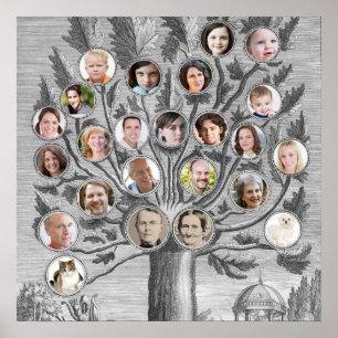 Poster Antique arbre généalogique Insérez vos propres nom